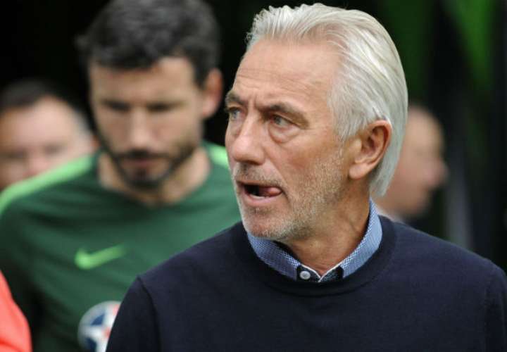 El entrenador  holandés Bert van Marwijk. Foto: EFE