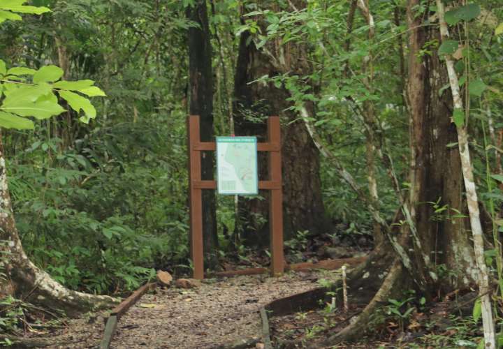 Parque Metropolitano de Panamá, enclave de senderismo y observación de aves