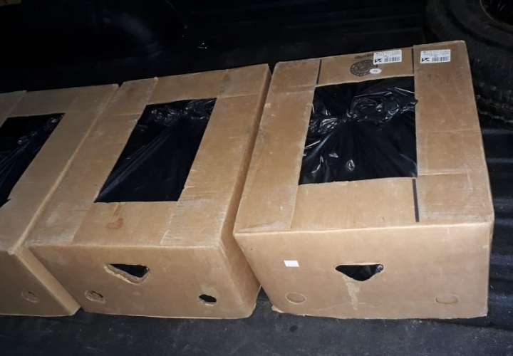 Confiscan 50 paquetes de droga en un auto
