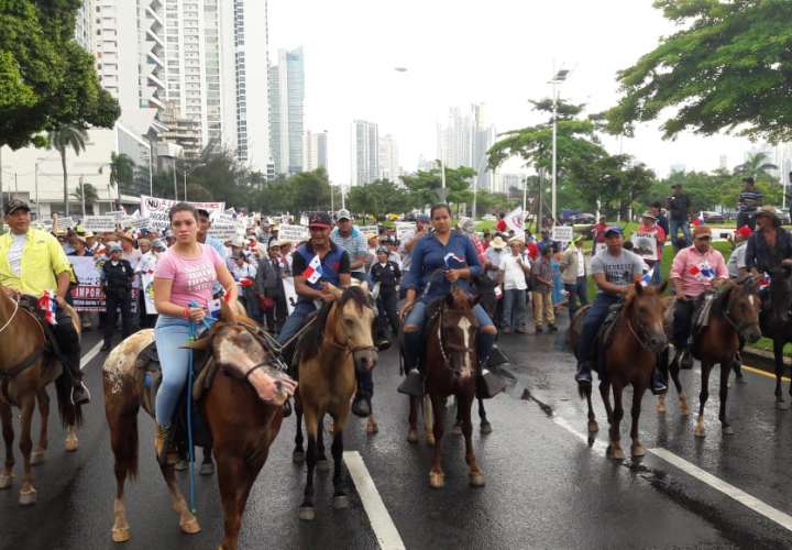 Protesta con vacas y caballos en la cinta 