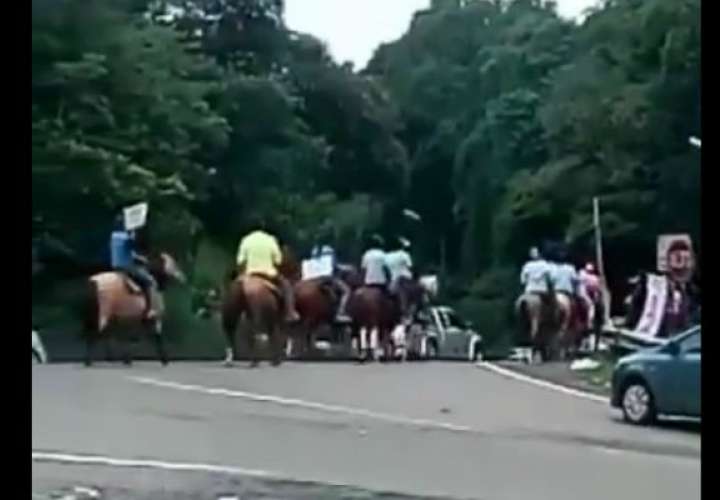 Productores marchan con vacas y caballos hacia la Presidencia 