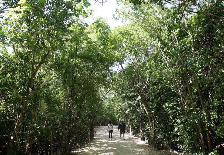 Fotografía del 26 de julio de 2018, que muestra una vista general del área protegida del parque Kabah, en el balneario de Cancún, en Quintana Roo (México). EFE