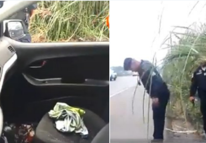 Atrapan a delincuente tras persecución en autopista Arraiján-La Chorrera