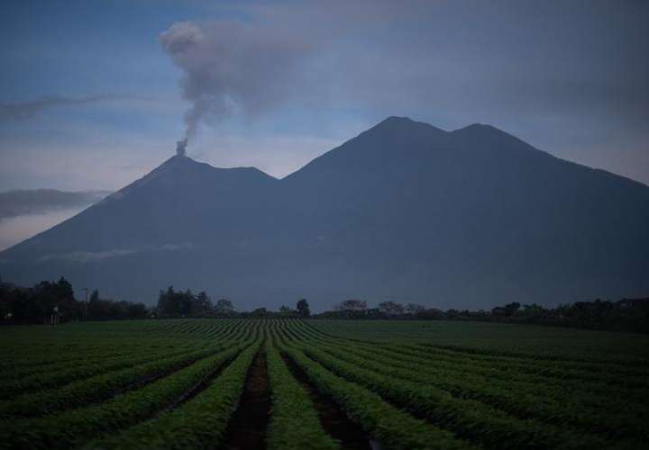 El coloso está situado 50 kilómetros al oeste de la capital guatemalteca. Foto: EFE