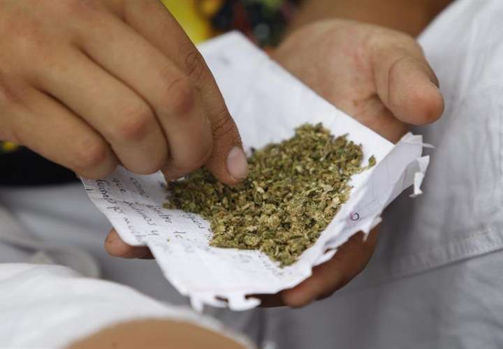 La Suprema Corte de México estableció hoy jurisprudencia para el consumo recreativo de marihuana, decisión permitirá cultivar y consumir la planta con fines recreativos a cualquier ciudadano que solicite un permiso al Gobierno federal. EFE/ARCHIVO