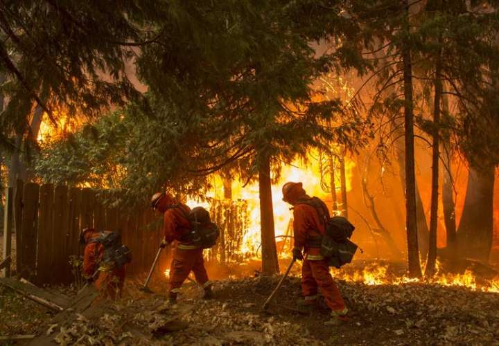 Un grupo de bomberos fue registrado este viernes al combatir un incendio en el condado de Butte (California, EE. UU.). EFE