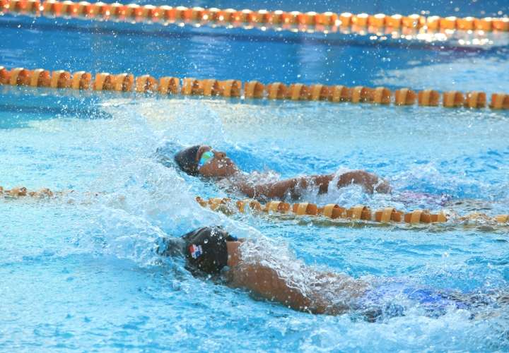 Comienza torneo de natación Delfín de Oro