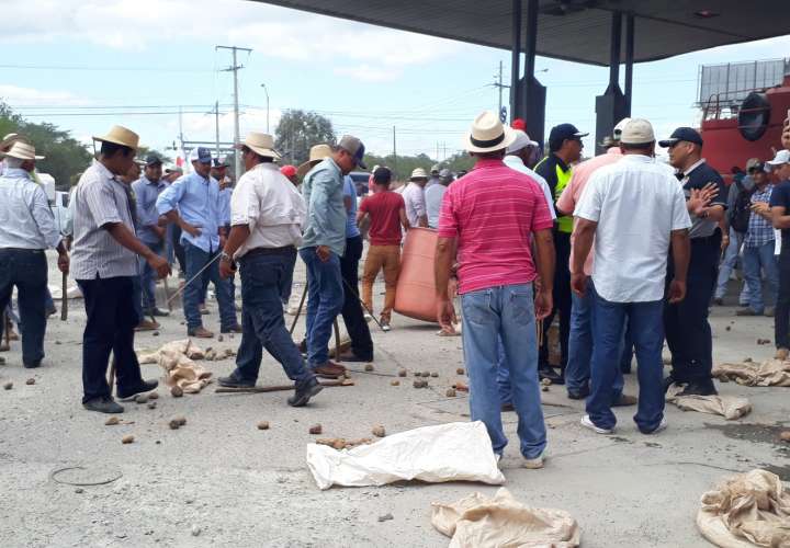 Según los dirigentes del sector agropecuario, el gobierno del presidente Juan Carlos Varela no ha cumplido con los acuerdos pactados. Foto: Thays Domínguez