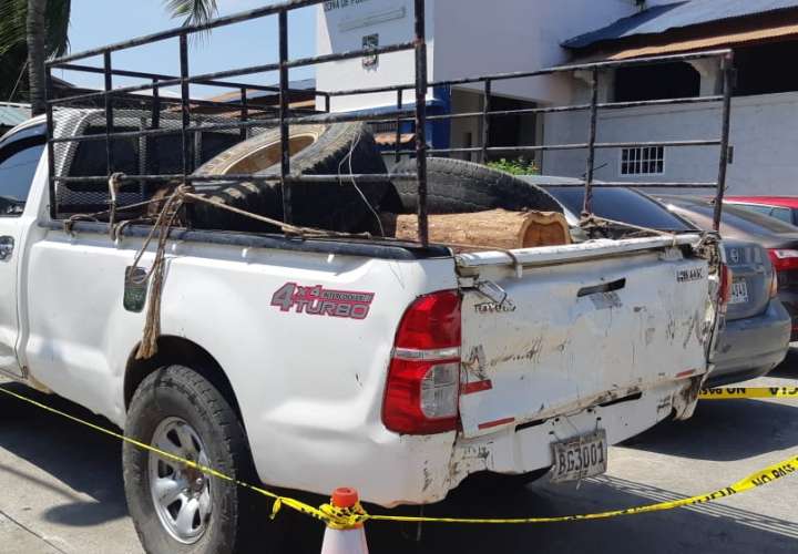 Retienen madera de Cocobolo talada ilegalmente; hay dos detenidos 