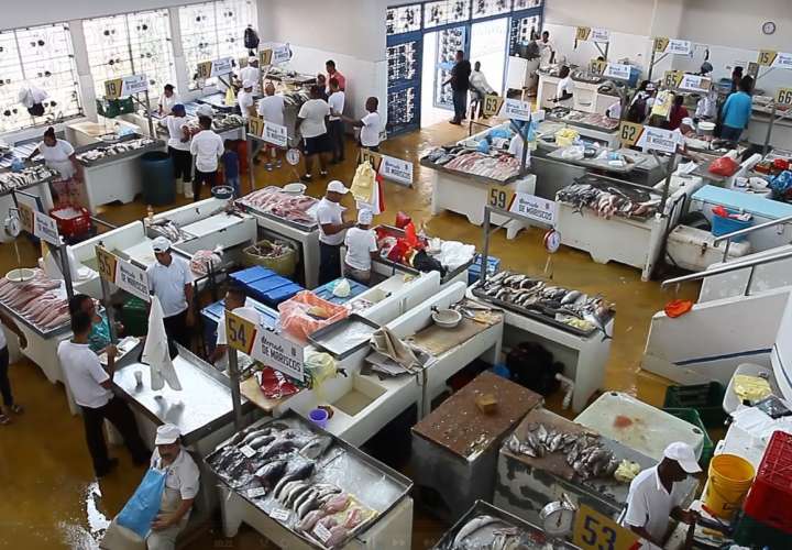 Panameños buscan mariscos a buen precio para la cuaresma (Video)