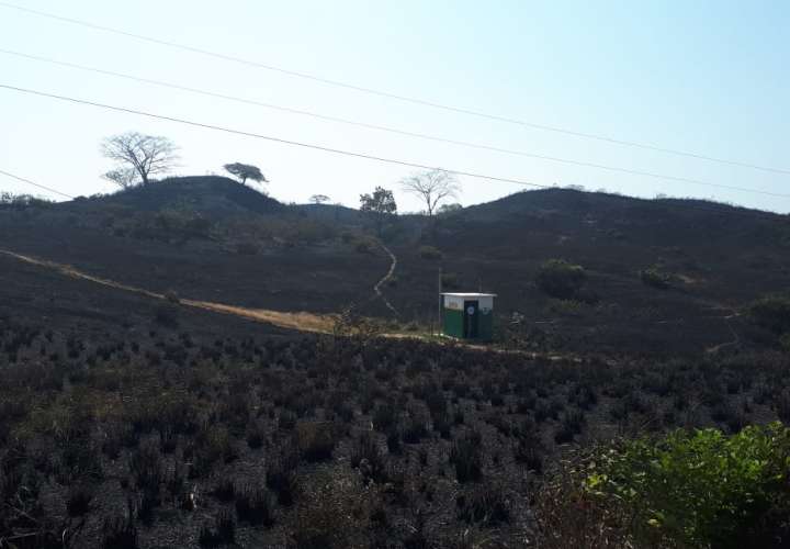 Más de 700 hectáreas consumidas por incendio forestal en Herrera