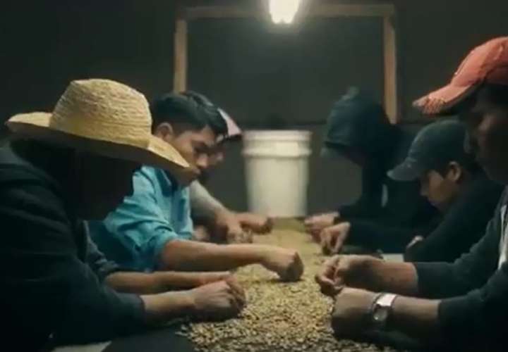 Panamá lanza documental sobre historia del café 