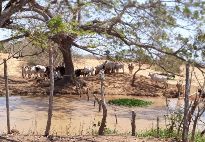 Los Santos se queda sin agua por la sequía