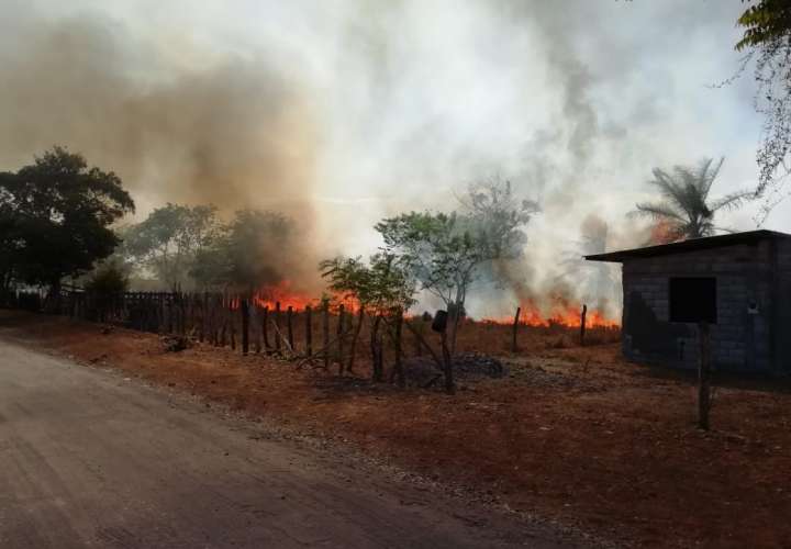 Aumenta número de casos de incendios de masas y forestales en Chiriquí 