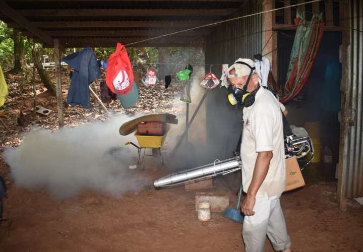 Ocho casos de dengue clásico en Chiriquí 