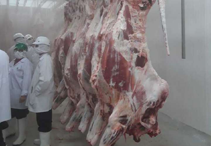 Inicia el sacrificio de ganado para exportar carne a China