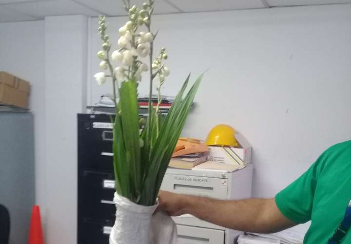 Detienen a varias personas por vender orquídeas de manera ilegal