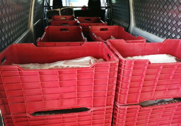 Confiscan más de 10 cajas de carne de cerdo en Divisa
