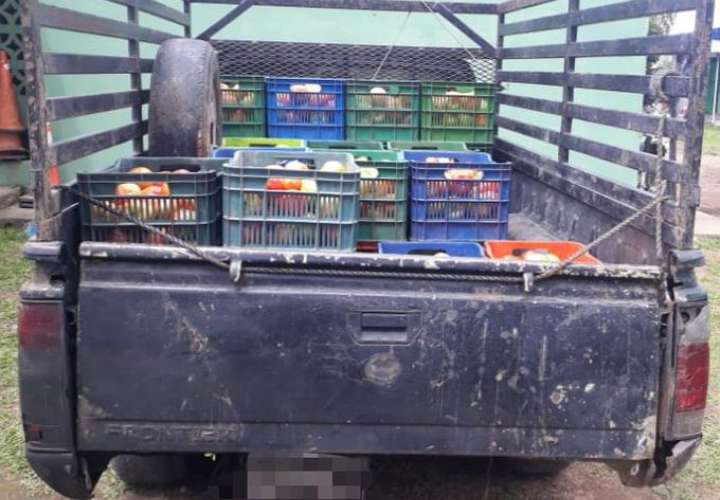 Frenan contrabando de 28 cajas de tomates en Río Sereno
