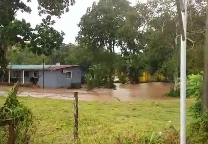 Fuertes lluvias causan inundaciones y caída de árboles 