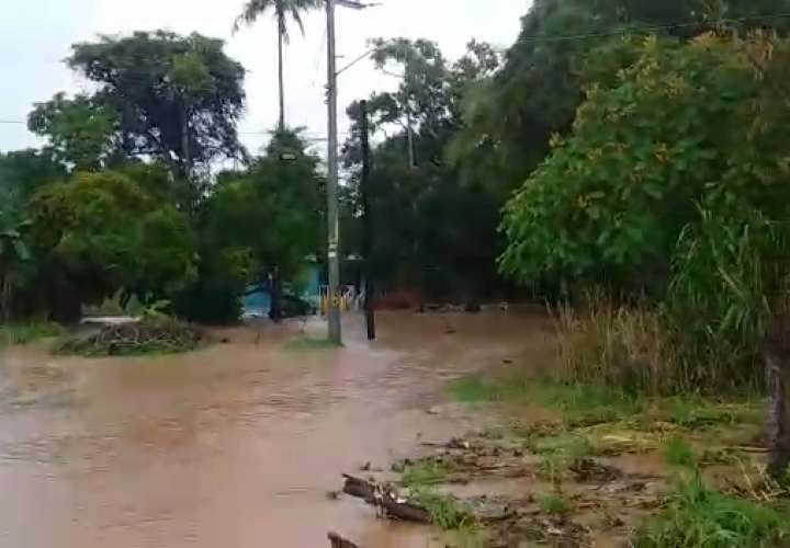 Inundaciones y caída de árboles por fuerte lluvia en Arraiján