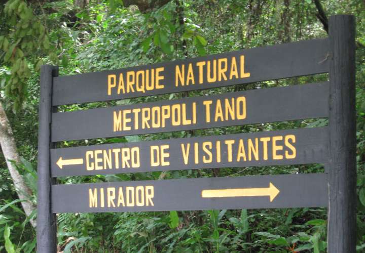 Ministerio de Cultura no arrasará con hectáreas del Parque Natural Metropolitano