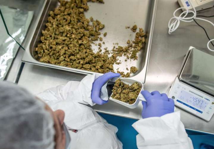 El gobierno israelí impulsará la inversión en cannabis medicinal