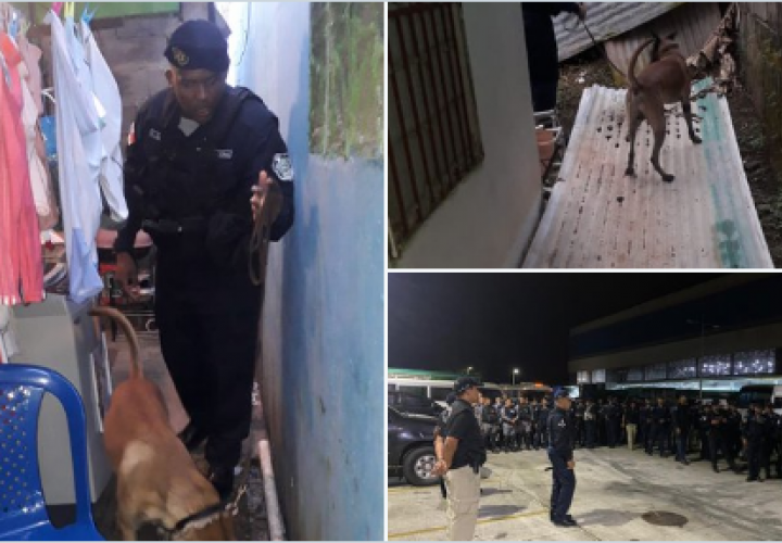 Detenidos y decomiso de armas y droga en operación " Relámpago" en Panamá Oeste