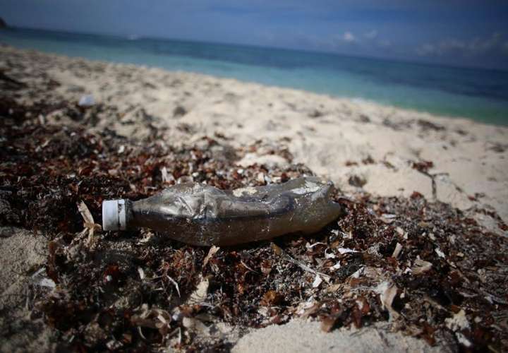 Microplásticos, la diminuta presencia que invade el Caribe