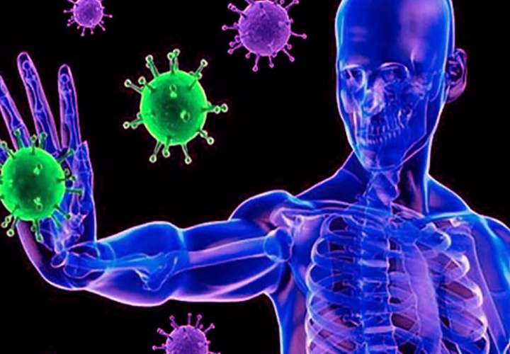 El sistema inmunitario tiene un mecanismo único para proteger al ser humano 