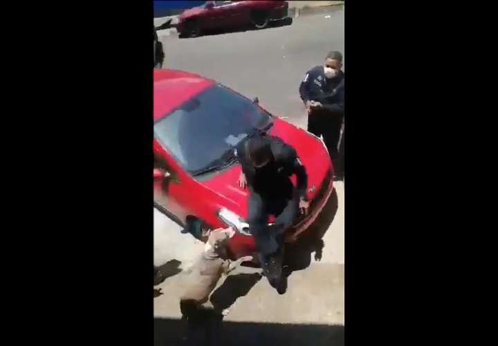 Viola cuarentena, lo persiguen, golpea policía, pero fue sancionado (Video)