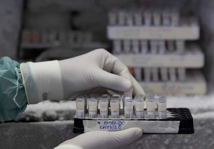La ciencia trabaja ya en 20 vacunas y 30 medicamentos contra el coronavirus