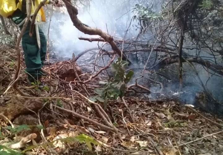Cuarentena no frena los incendios provocados en Herrera