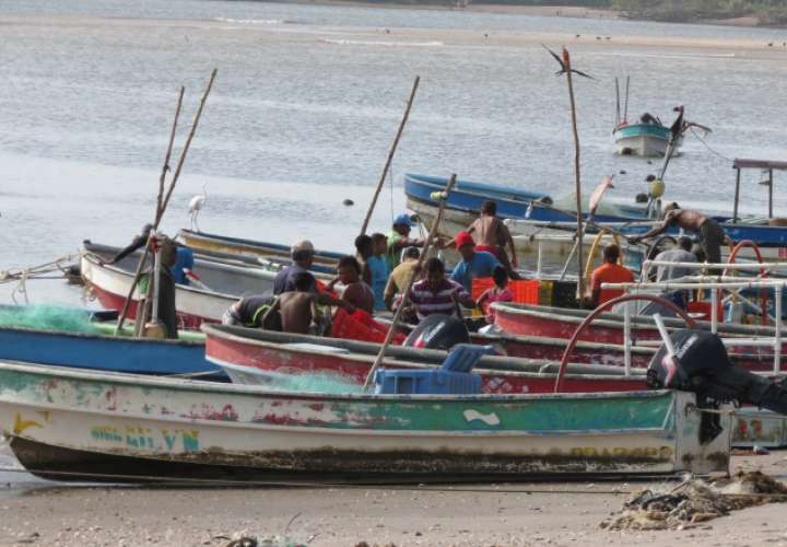 Pescadores artesanales con bajas ventas y sin bono solidario