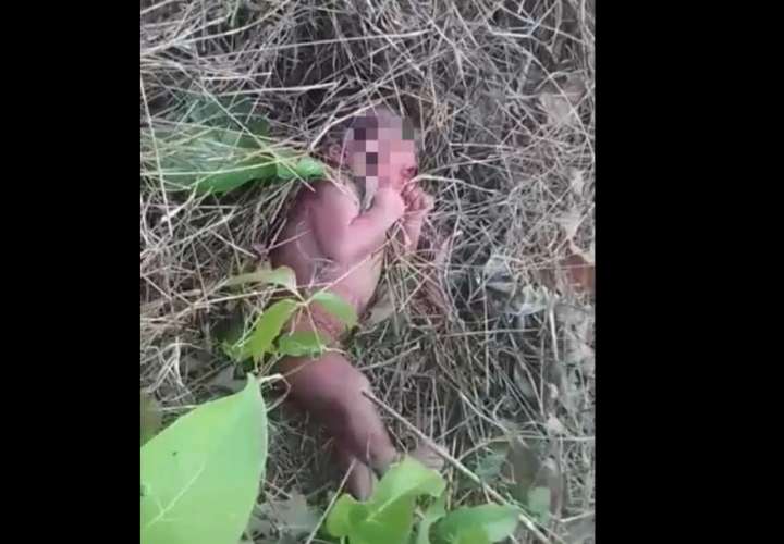 Encuentran recién nacida abandonada en medio de un herbazal (Video)