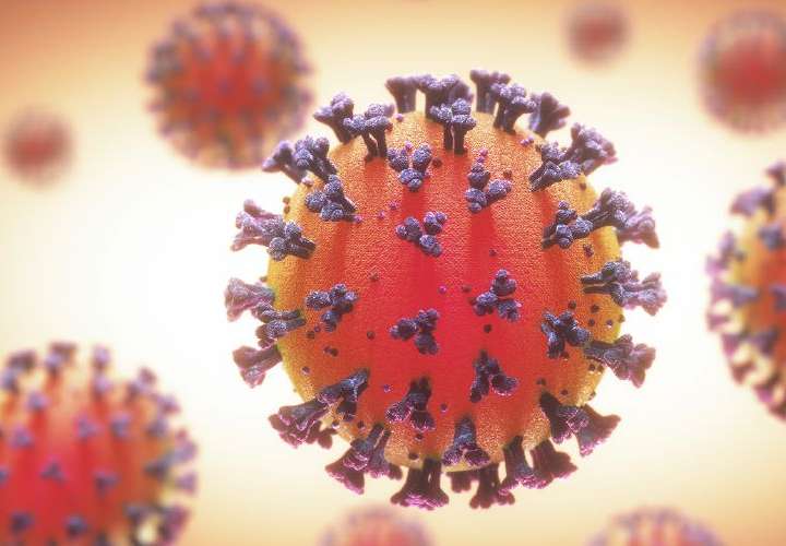 Coronavirus puede terminar 3 de septiembre en Panamá