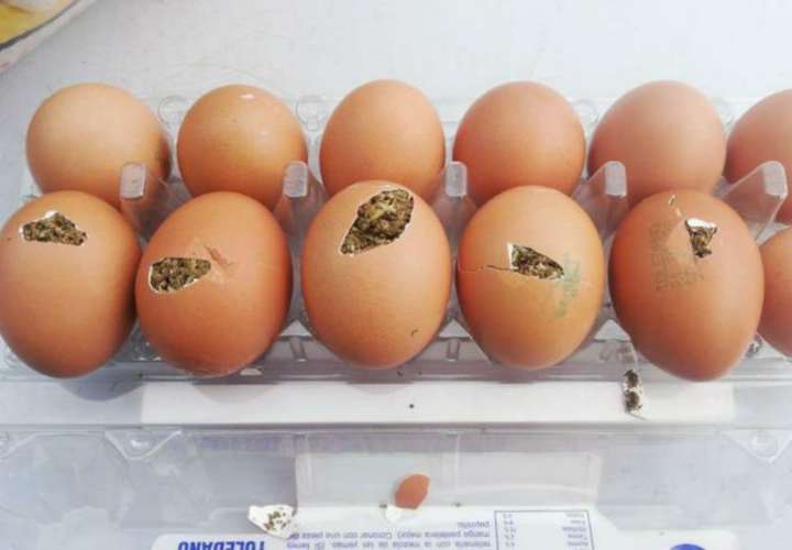 Cautelar por llevar droga en huevos