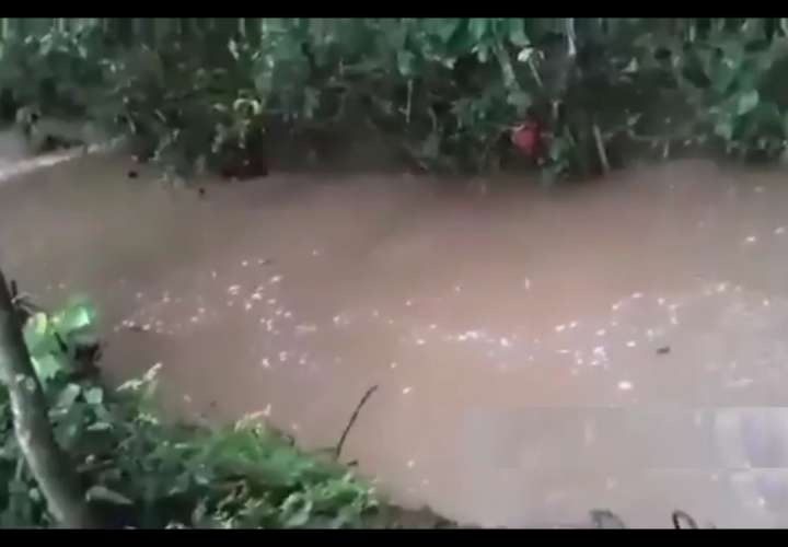 Denuncia: Peces mueren tras contaminación en quebrada Cabuya en Ocú (Video)