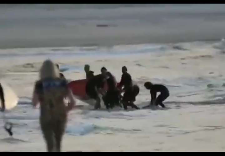 Tiburón mata a un surfista en Australia (Video)