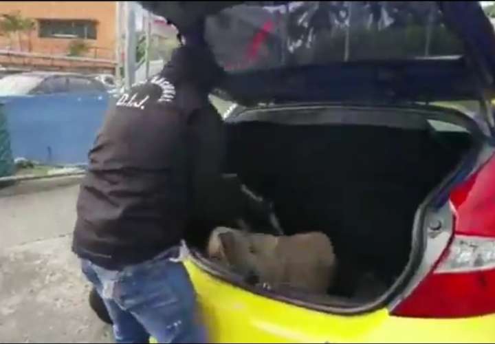 Transportaba 50 paquetes de droga en el taxi  [Video]