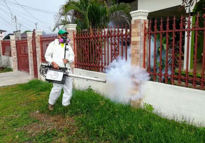 Día "D" contra el Dengue en Pedregal, Río Abajo y Veracruz