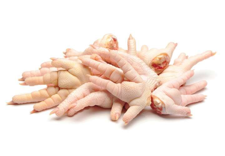 Pollo panameño será exportados a China