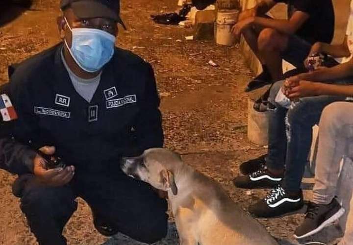 Rescatan a "Tuti", la perra que fue maltratada por un policía  [Video]