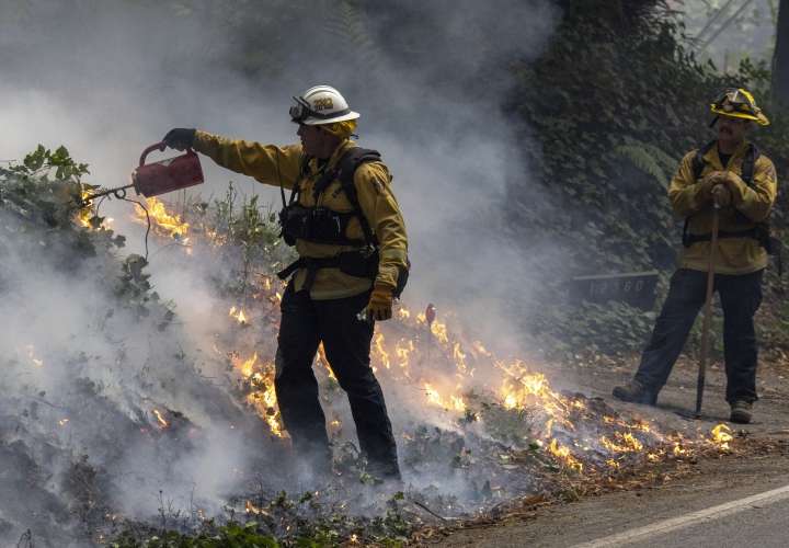 Pronostican temporada “crítica” de incendios forestales