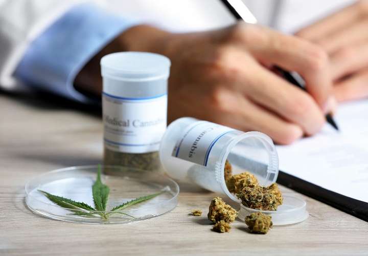 Mesa técnica para proyecto del cannabis medicinal