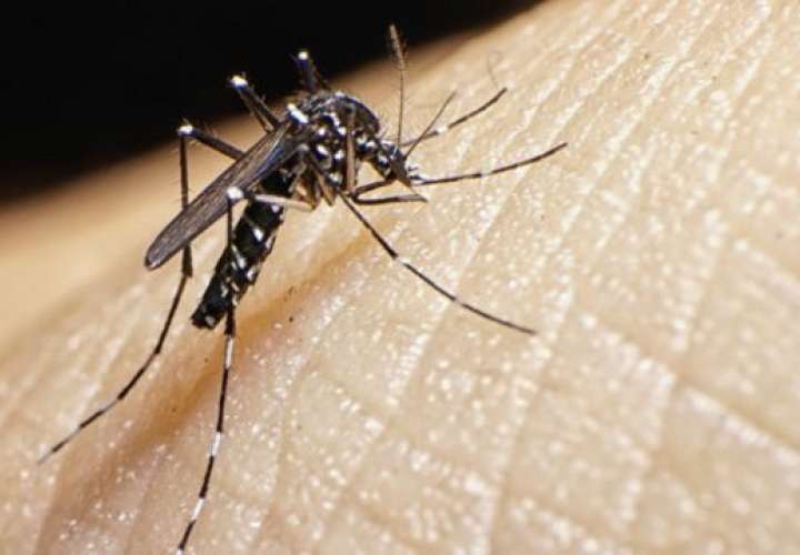  Reportan primer caso de Zika en Tocumen