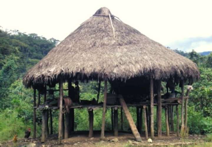 Casas de tambo, alternativa ante inundaciones
