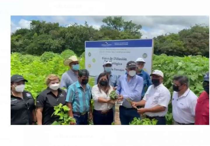  Presentan innovaciones tecnológicas para mejorar el agro panameño 