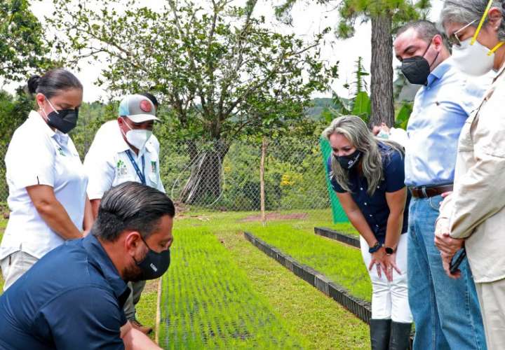 Fundación Natura lanza concurso de prensa