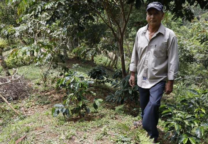 Don Lito, héroe ambiental en Chiriquí